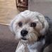 Billy Sweat - Facebook