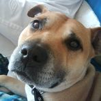 Bailey Sweeney - Facebook