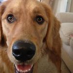 Paula Bailey Thibodeau - @paulabaileythibodeau - Instagram