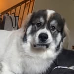Bailey Thornton - @baileyt_99 - Instagram