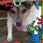 Bailey Tichenor - Facebook