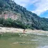 Bailey Tilley - @baileytilley4 - TikTok