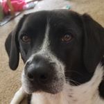 Bailey Timmons - @_hey.itz.bai_ - Instagram