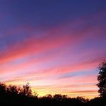 Bailey - @baileytipton67 - Instagram