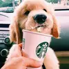 Bailey Tipton - @b.aesthetics.51 - TikTok
