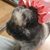 Bailey Otoole - @bailey.otoole85 - TikTok