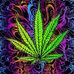 Bailey Daniels - Facebook