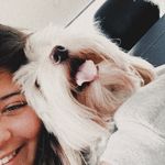 bailey torres🐶 - @baileyttheschnoodle - Instagram