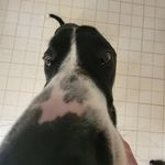 Bailey Bailey - @baileytothepoweroftwo - Instagram