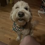 Bella Trask - Facebook
