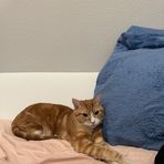 Bailey Tsang - Facebook