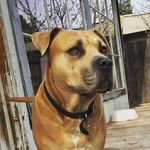 Turk Bailey - @turk_bailey925 - Instagram