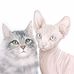 Pamela Bailey Upton Art - Facebook