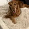 baileyvalentine - @bailey_valentine_ - TikTok
