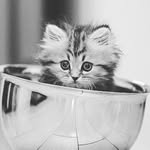 bailey - @baileyvandiver07 - Instagram