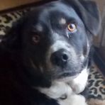 Bailey Vandiver - Facebook