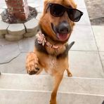 Bailey Vang - Facebook