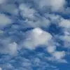 YourDaileyBailey - @baileygaonagvang - TikTok