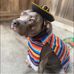 Bailey Vargas - Facebook