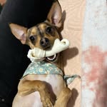 Bailey Zavala Vargas - @baileyzavalavargas  - Instagram