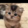 Bailey Vega - @bailey.vega8 - TikTok