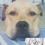 Bailey Velasquez - @jefazo_bailey04 - Instagram
