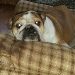 Corey Milligan - @baileyvillegas9283 - Instagram