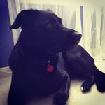 Sadie Bailey Vogt - @sadie_the_friend - Instagram