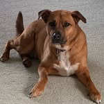 Bailey Waggoner - @the_big_pooper - Instagram