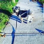 Bailey Wagner - @bailey___wag47 - Instagram