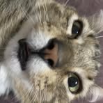 Bailey Wallis - Facebook