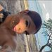 Bailey Wallis - Facebook
