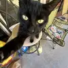Bailee Walls - @bailee.walls5 - TikTok
