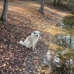 Bailey Walter - @walt2500 - Instagram