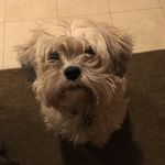 Bailey..Walter - @_b_a_i_l_e_y__w_a_l_t_e_r - Instagram