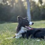 Bailey Warner - Facebook