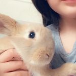 Bailey - @bunny.waugh.bailey - Instagram