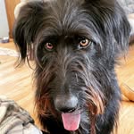 Bailey - @baileywaylin13 - Instagram