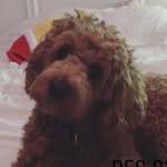Bailey_wayley💗 - @bailey_wayley - Instagram