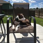 Bailey Weber - @weberb2017 - Instagram