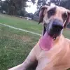 Bailey Weber - @bailey.weber - TikTok