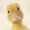 bailey - @baileyweinberger - TikTok