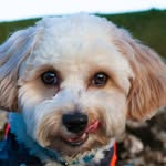 Bailey Welch - @bailey_fluffbob - Instagram