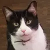 baileywelch72 - @baileywelch72 - TikTok