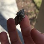Bailey Wells - @baileywells627 - Instagram