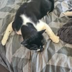 Bailey Wells - Facebook