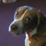 carter_wells_2 is my owner - @_bailey_wells_ - Instagram