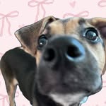 Bailey wesselink - @baile_ywesselink - Instagram