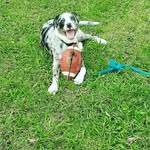 Bailey Wessell - @baileywessell32 - Instagram