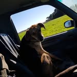bailey wesselson - @baileyw31101998 - Instagram